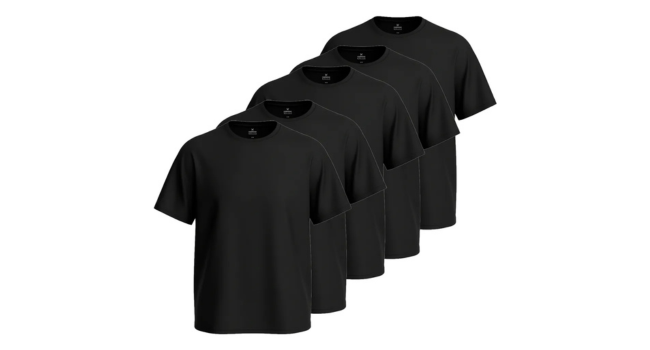 Kit 5 Camisetas Hering Basica Masculina Algodão Original
